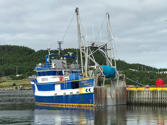 Fishing Boat, Little Seldom, Fogo NL