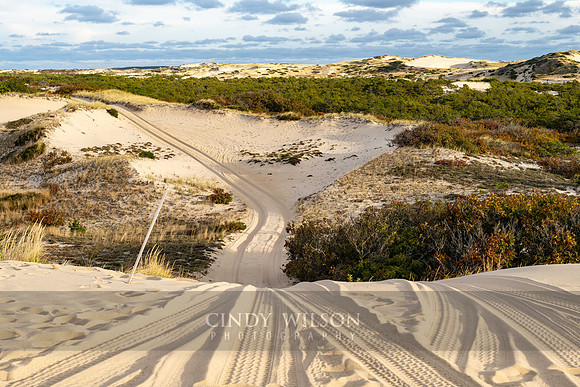 Dune Tracks