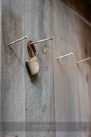 Hanging Lock
