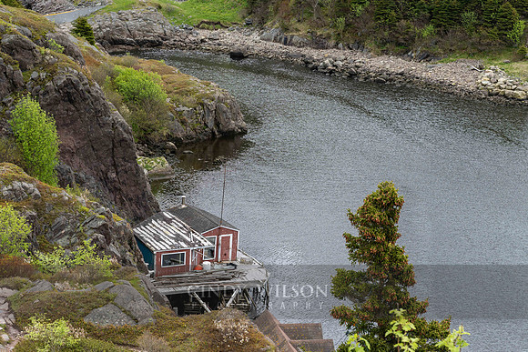 Isolated Stage, Quidi Vidi