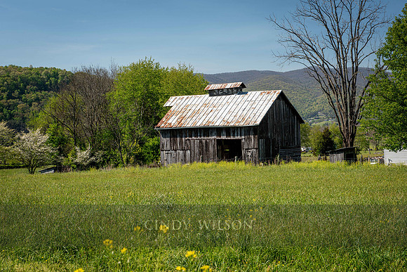 Barn with a Hot Tin Roof, TN