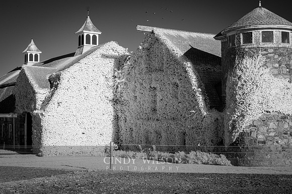 Glen Farm Barn, IR