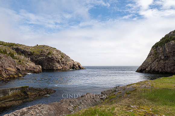 Harbor Entrance, Quidi Vidi