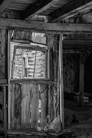 See Through Stables