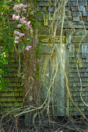 Hidden Doorway