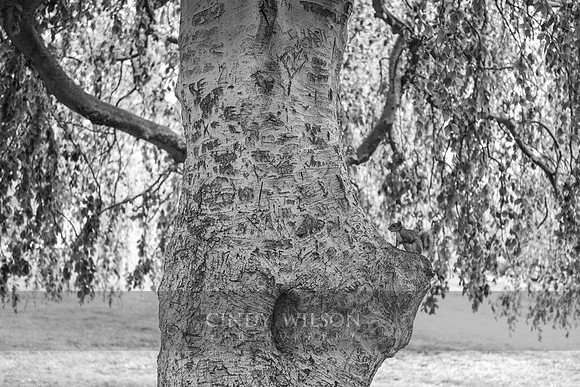 Carvings