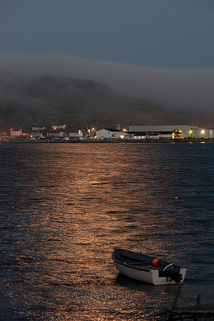 Moonlit Fogo