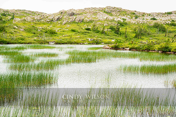 Fox Cove, Fogo Island, Newfoundland