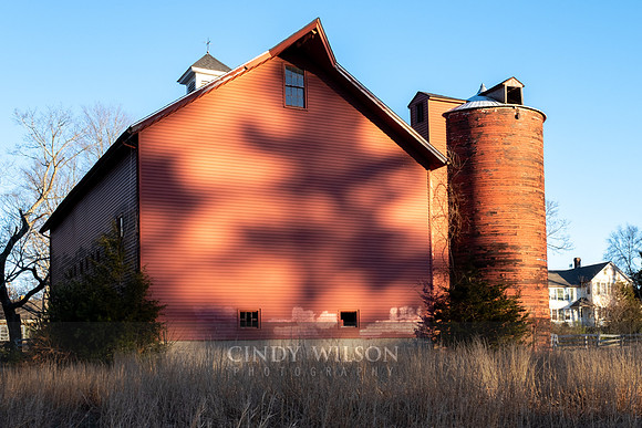 Barn in the Late Afternoon, West Greenwich