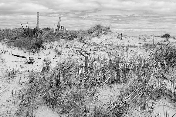 Beach Fencing, Scotch Beach