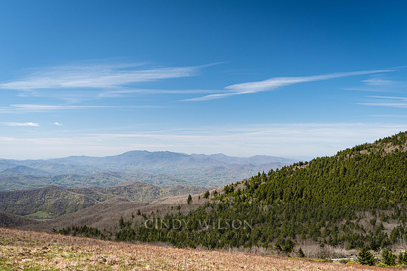 Roan Mountain Hike, TN