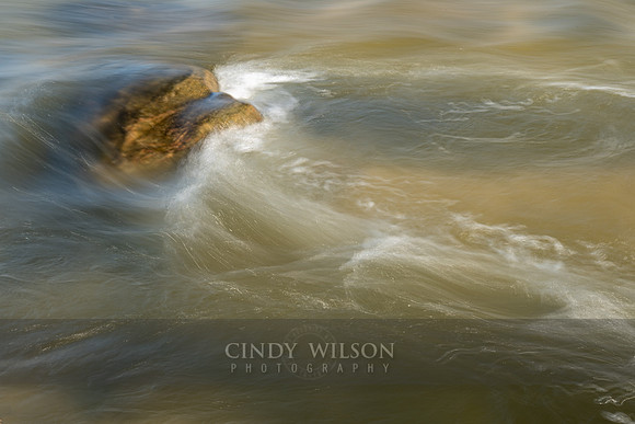 Racing Tide, Payne's Creek