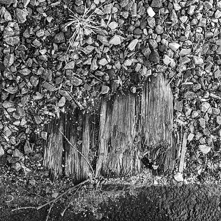 Uncovered Rail Ties