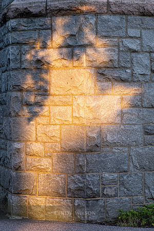Light Giraffe