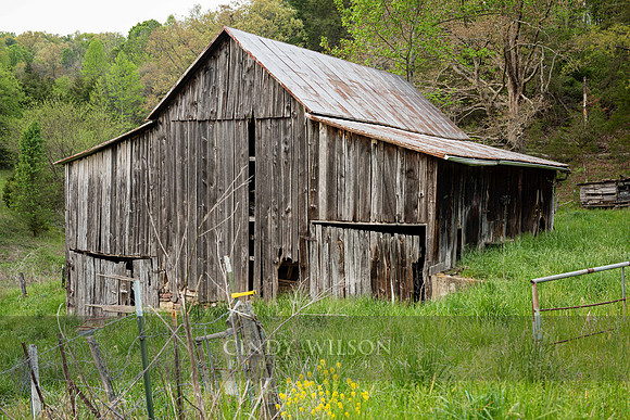 Tobacco Barn, TN
