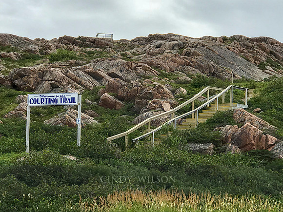 Courting Trail, Deep Bay, Fogo