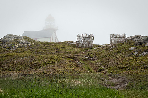 Lighthouse in the Mist, Ferryland
