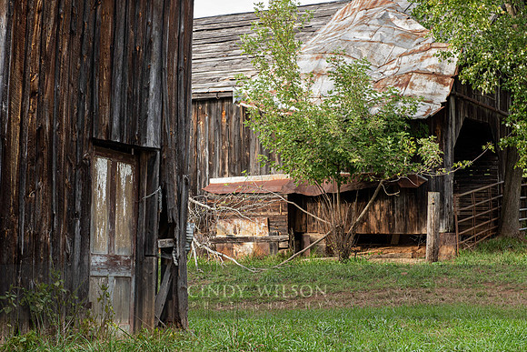 Tin Roof, Luray