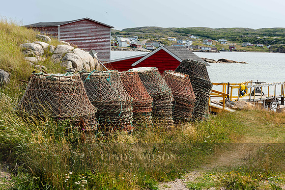 Crab Pots, Joe Batt's Arm