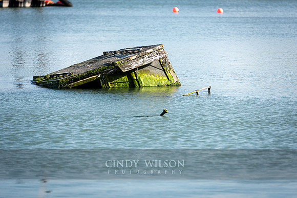 Sunken Ship