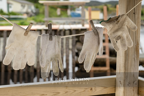 Cloth Gloves, Brigus South, Newfoundland, 2024