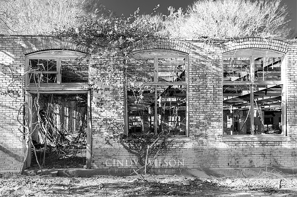 Three Windows, Shannock