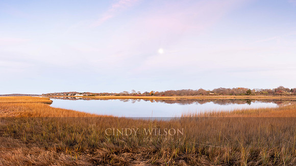 Salt Fox Marsh Panorama