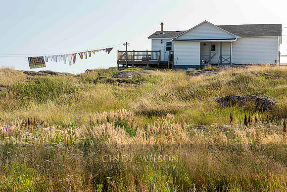 Cottage with Clothesline, Joe Batt's Arm