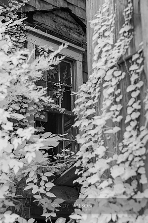 Hidden Window