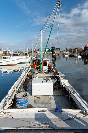 Oyster Boat, Tilghman Island
