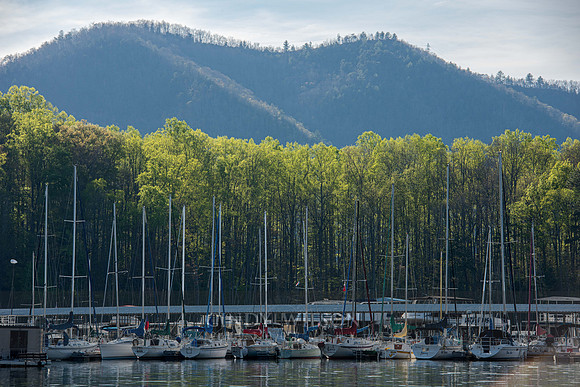 Marina, Watauga Lake, TN