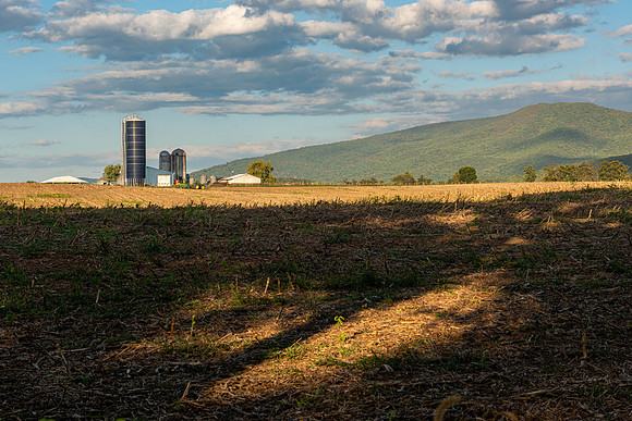 Fall Fields, Luray, VA