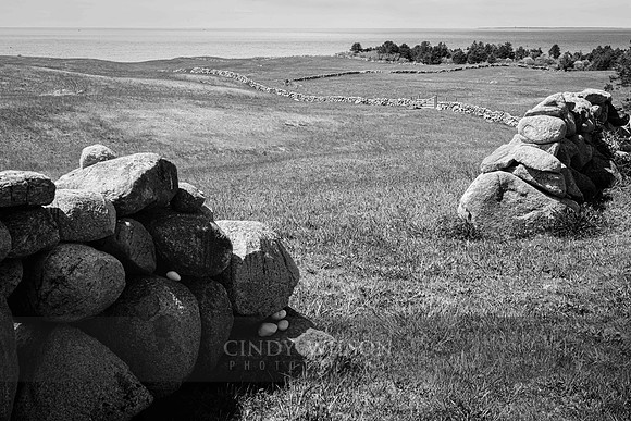 Through the Wall, Lewis Farm