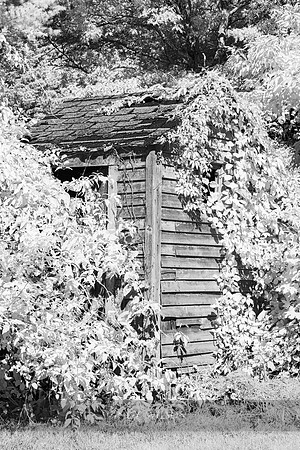 Outhouse, Overgrown