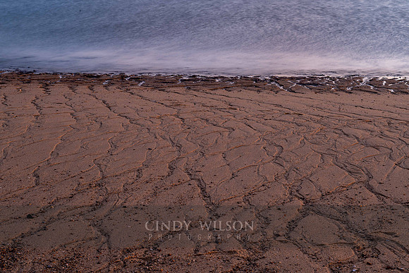Veins in the Sand, Provincetown