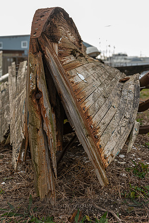 Split Hull, Cape May