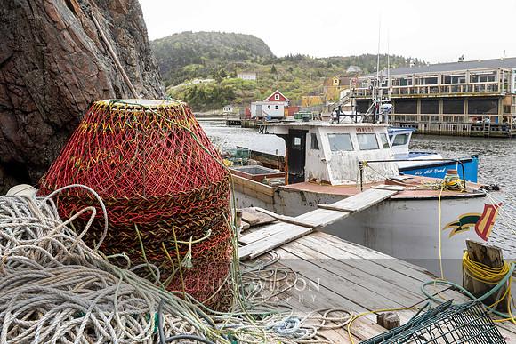 Hanlon View of Quidi Vidi