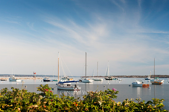 Sakonnet Calm