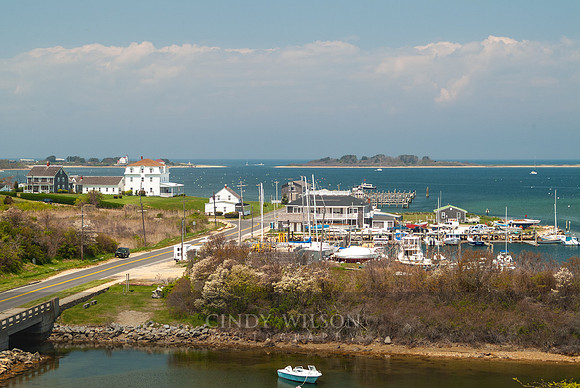 New Harbor Overlook