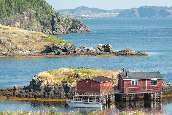 Scenic View, Twillingate