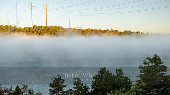 Fog over the Canal