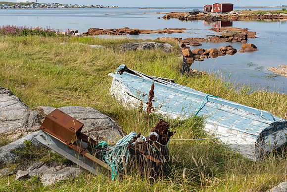 Weathered Wreck in the Grass, Joe Batt's Arm