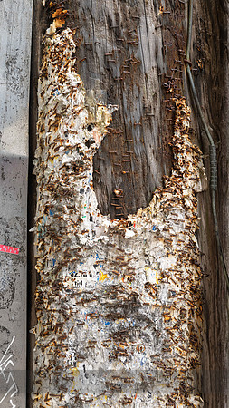 Remnants of Messages Past