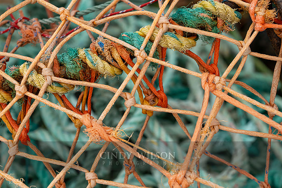 Net Layer