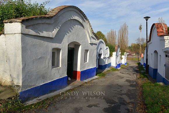 _CHW0274 copy