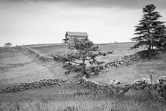 Crossing Walls, Lewis Farm