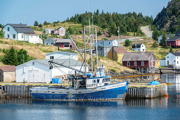 Fishing Port, New World Island, Twilingate