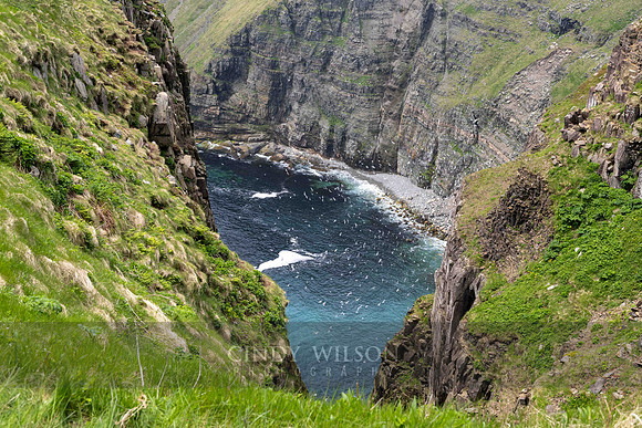 Inlet, Cape St Mary