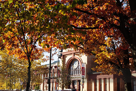 Union Station Foliage, Providence