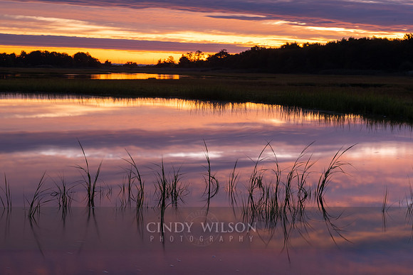 Sunrise, Zeke's Creek